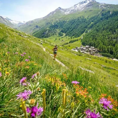 Appartement Arve - Peaks Retreat *